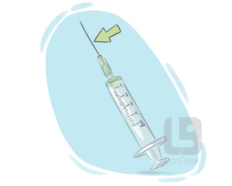 hypodermic needle definition and meaning