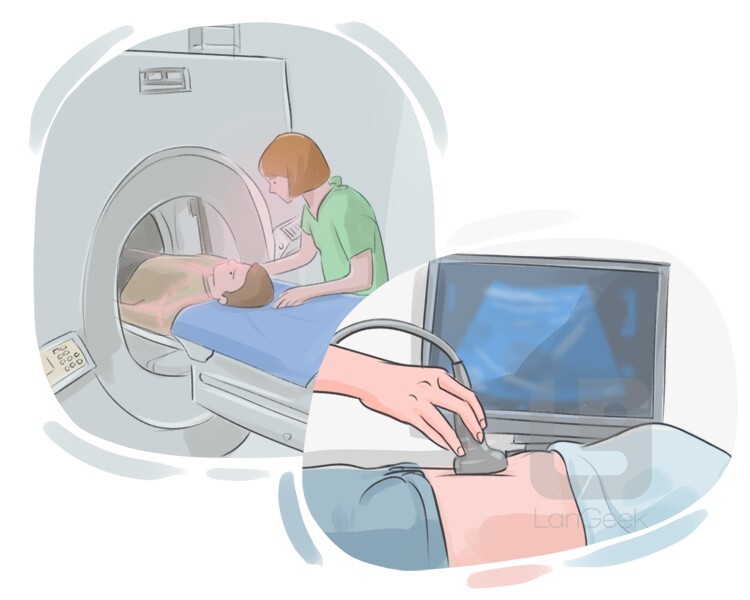 Definition Meaning Of Cat Scan LanGeek