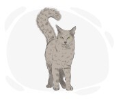 Nebelung