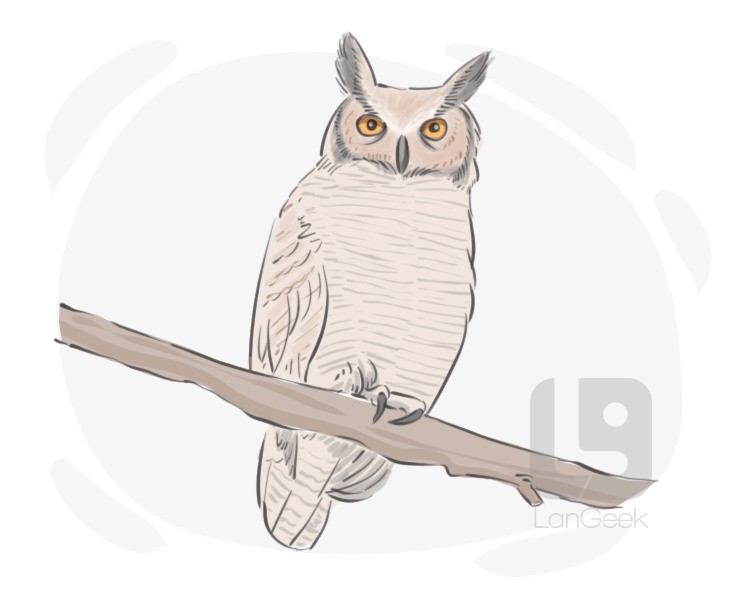 horned owl definition and meaning