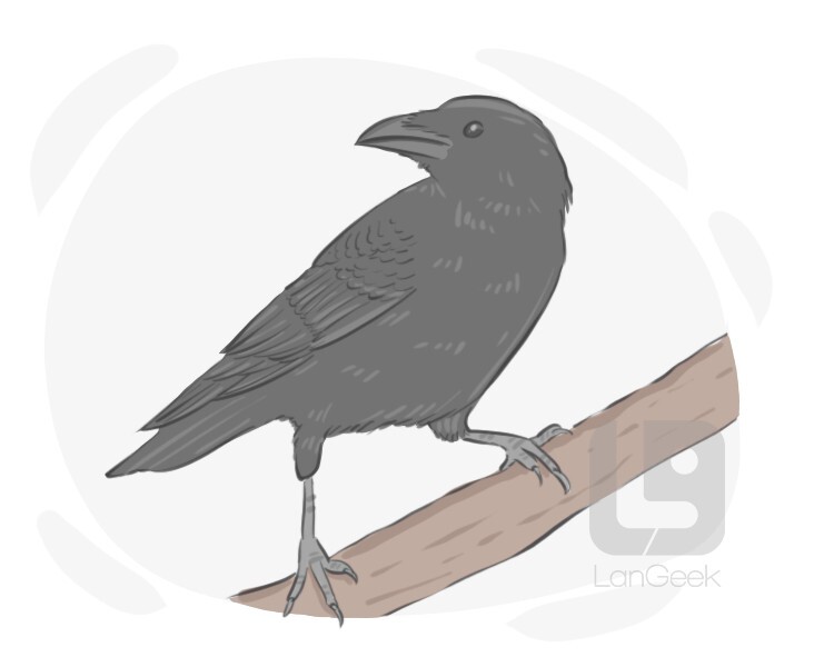 Definition & Meaning of "Carrion crow" | LanGeek
