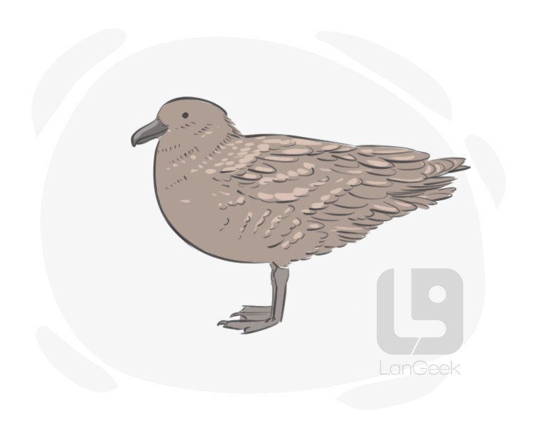 Definition & Meaning of "Jaeger" LanGeek