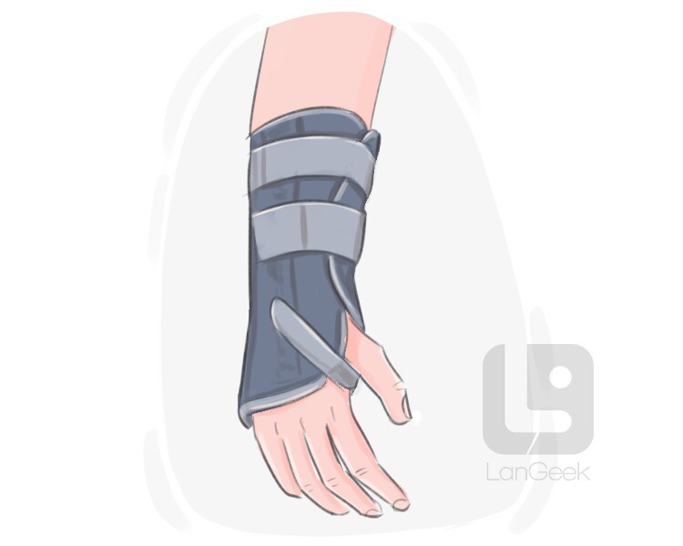 Definition & Meaning of "Splint" LanGeek