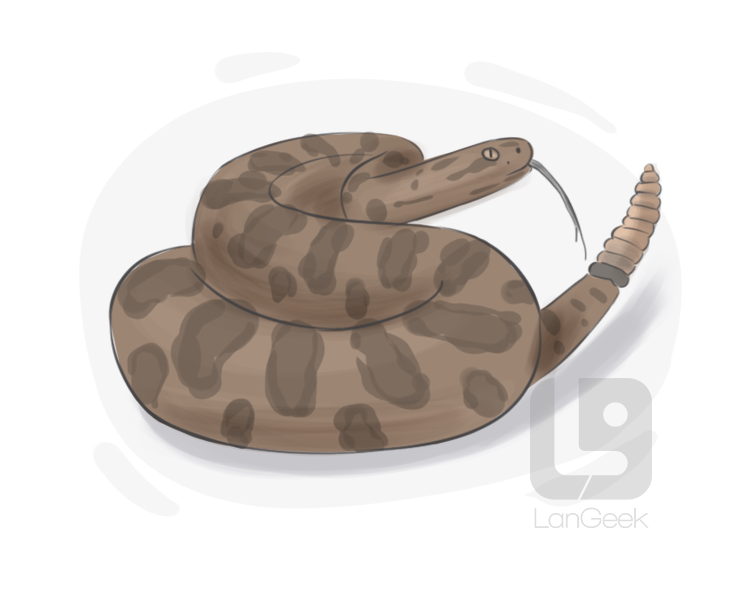 rattlesnake definition and meaning