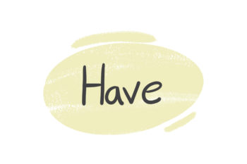 How to Use the Verb "Have" in the English Grammar