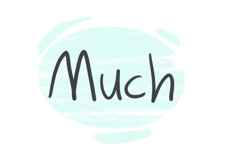 How to Use "Much" in the English Grammar