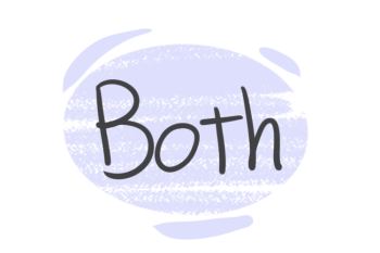 How to Use "Both" in the English Grammar