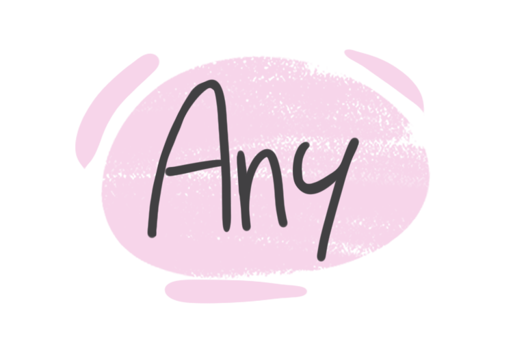 How to Use "Any" in the English Grammar