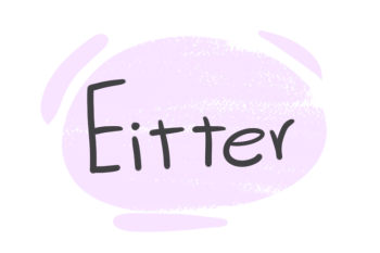 How to use "either" in English Grammar