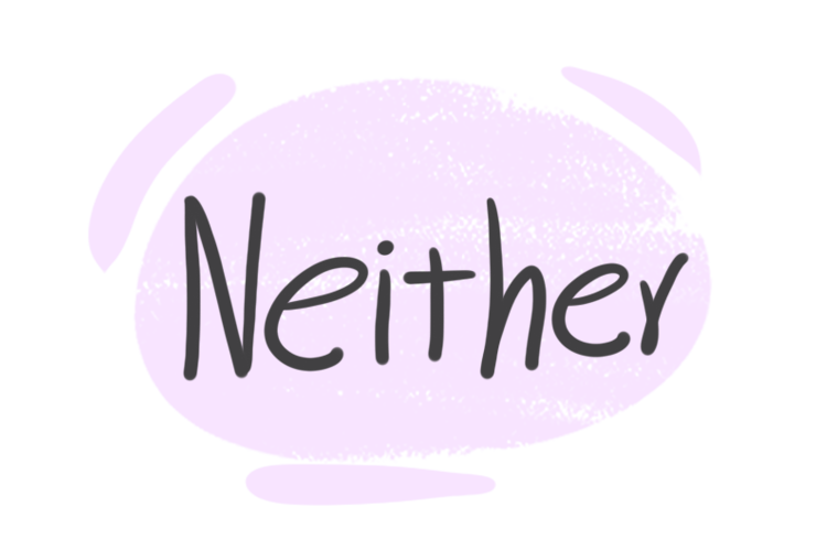 How to Use "neither" in the English Grammar