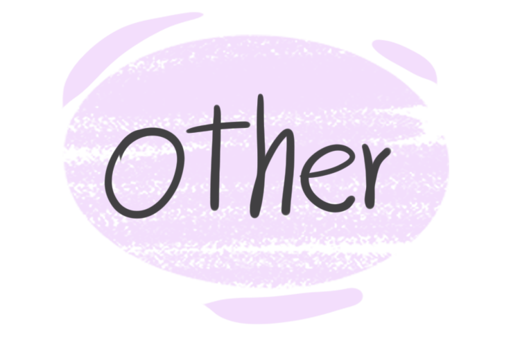 How to use "Other" in English Grammar