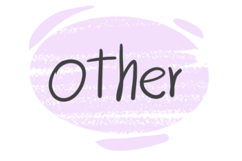 How to use "Other" in English Grammar