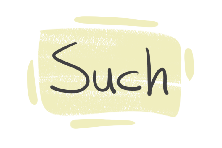 How to use "Such" in English Grammar