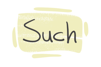 How to use "Such" in English Grammar