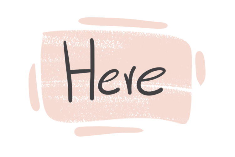 How to Use 'Here' in English Grammar