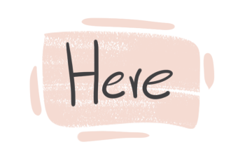 How to Use 'Here' in English Grammar
