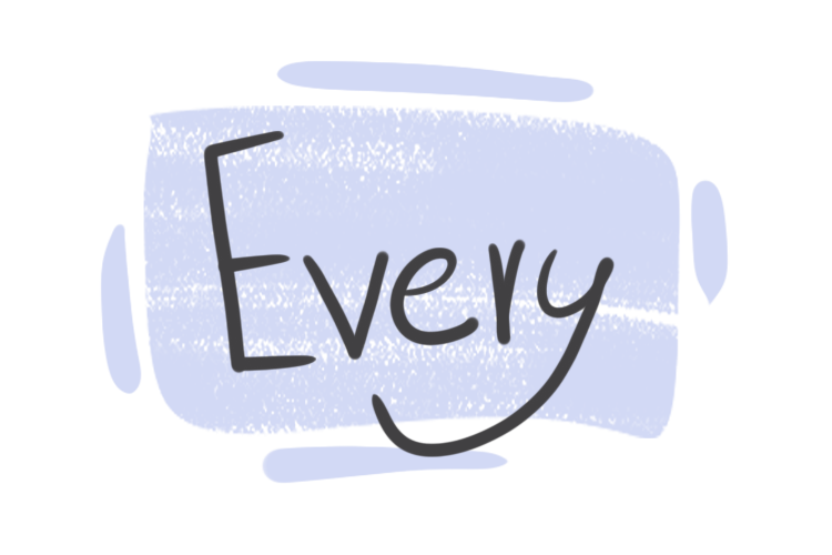 How to use ''Every'' in the English Grammar?