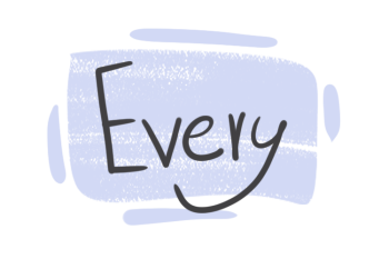 How to use ''Every'' in the English Grammar?