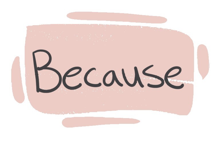 How to Use "Because" in English? LanGeek