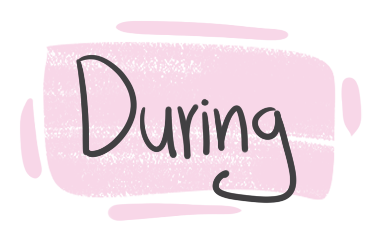 How to Use "During" in English?