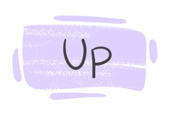 How to Use "Up" in English?