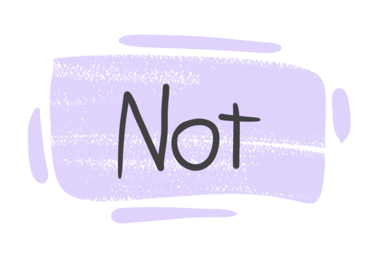 How to Use "Not" in English?