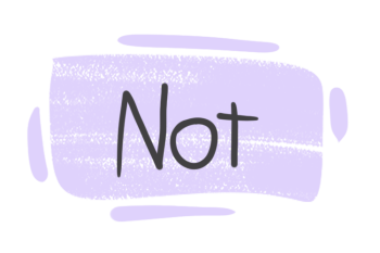 How to Use "Not" in English?