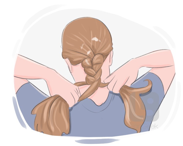 to plait definition and meaning