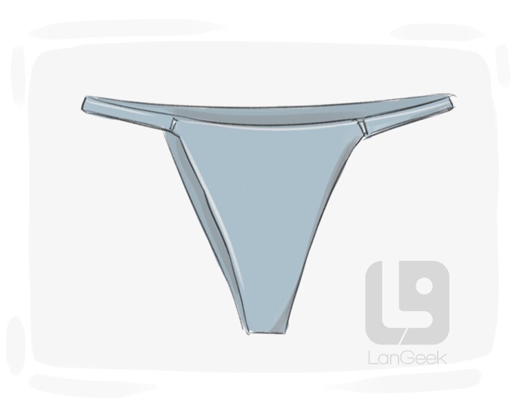 Definition & Meaning of Thong