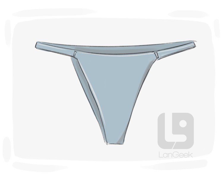 thong definition and meaning
