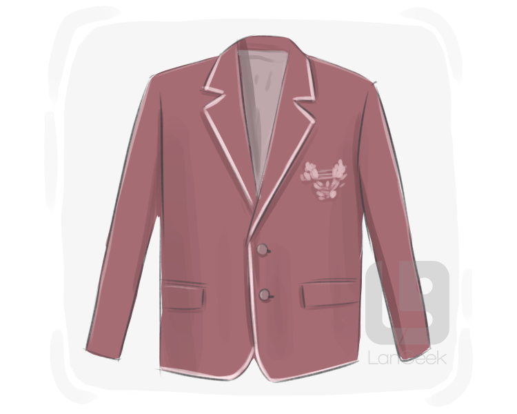 blazer definition and meaning