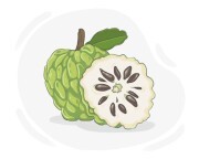 custard apple