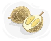 durian