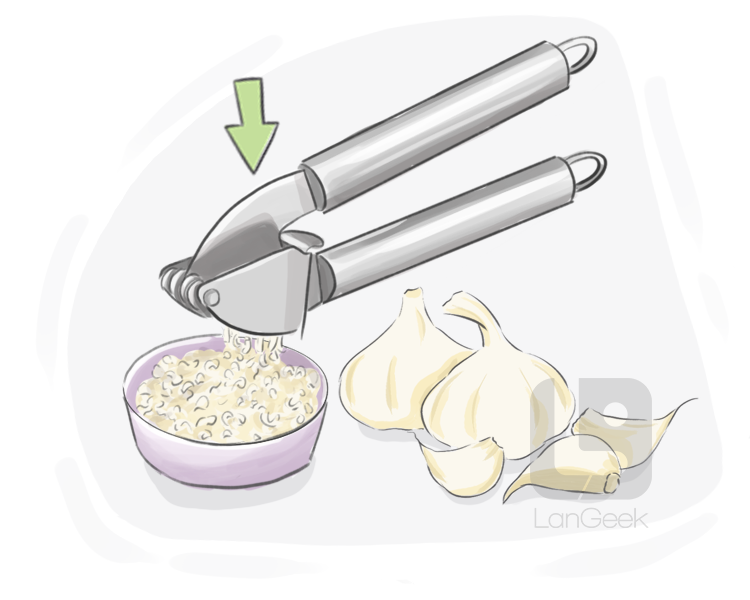 Definition & Meaning of Garlic press