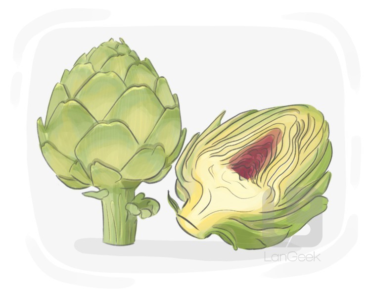 globe artichoke definition and meaning