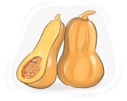butternut squash