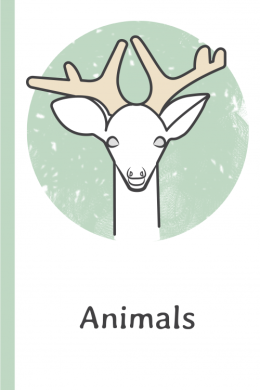 Animals in English Vocabulary | LanGeek