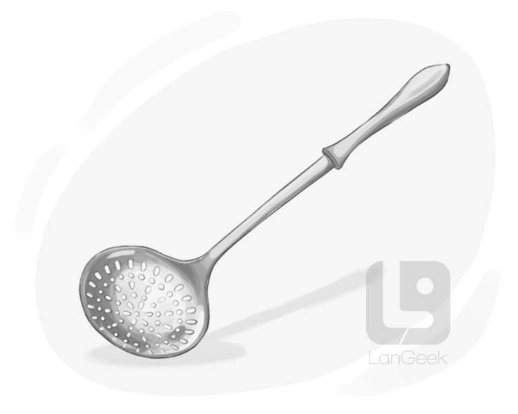 slotted spoon definition and meaning
