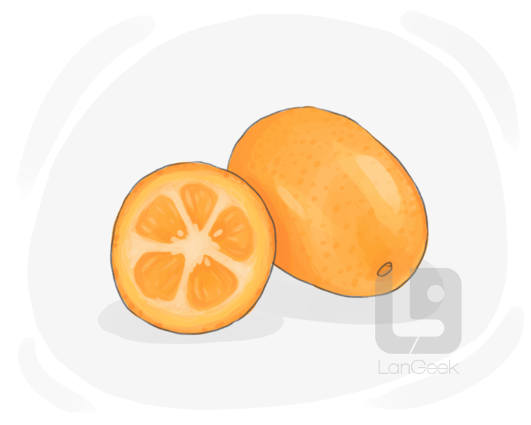 kumquat definition and meaning
