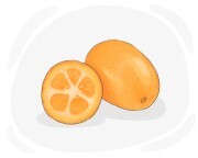 kumquat