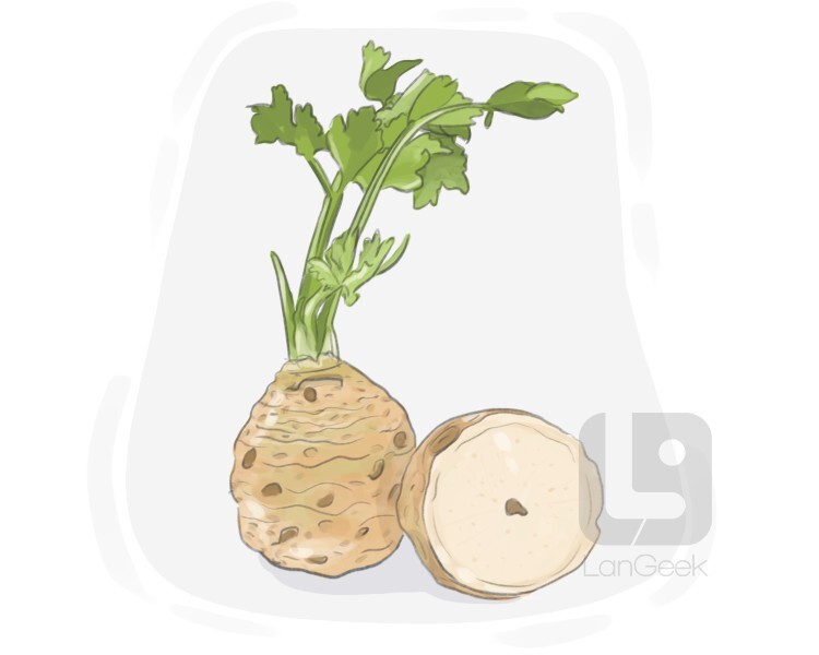 celeriac definition and meaning