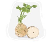 celeriac