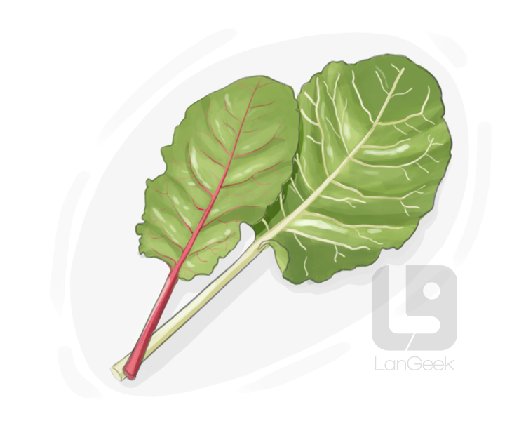 spinach beet definition and meaning