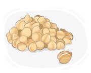 chickpea