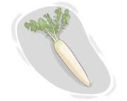 daikon