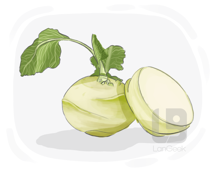 kohlrabi definition and meaning