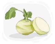 kohlrabi