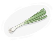 spring onion