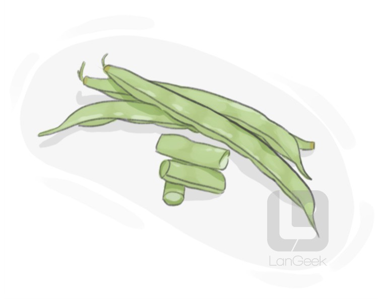 haricots verts definition and meaning