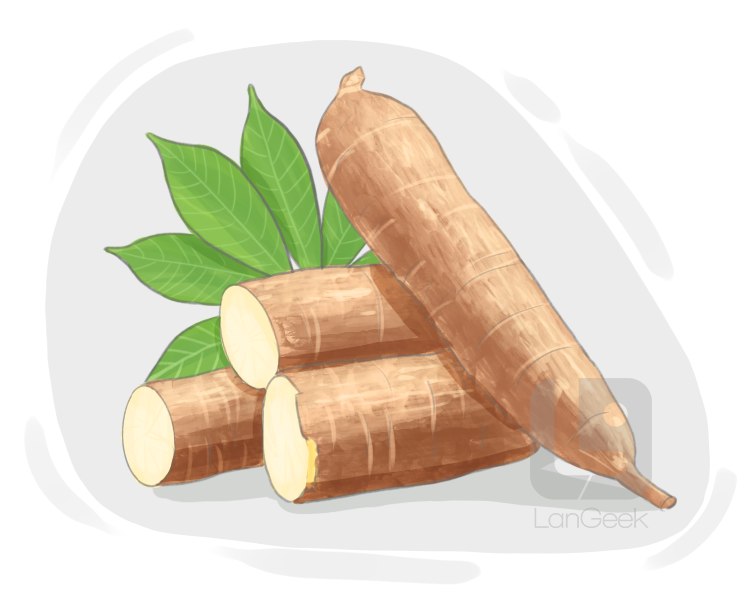 manioc definition and meaning